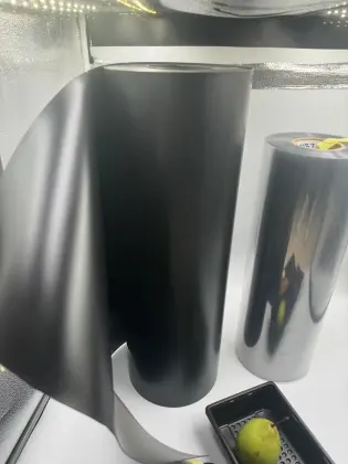 PET fruit tray plastic fruit tray