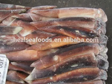 Frozen Squid /Illex Squid /Argentine Squid