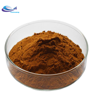 Hot Sale Cinnamon Bark Extract