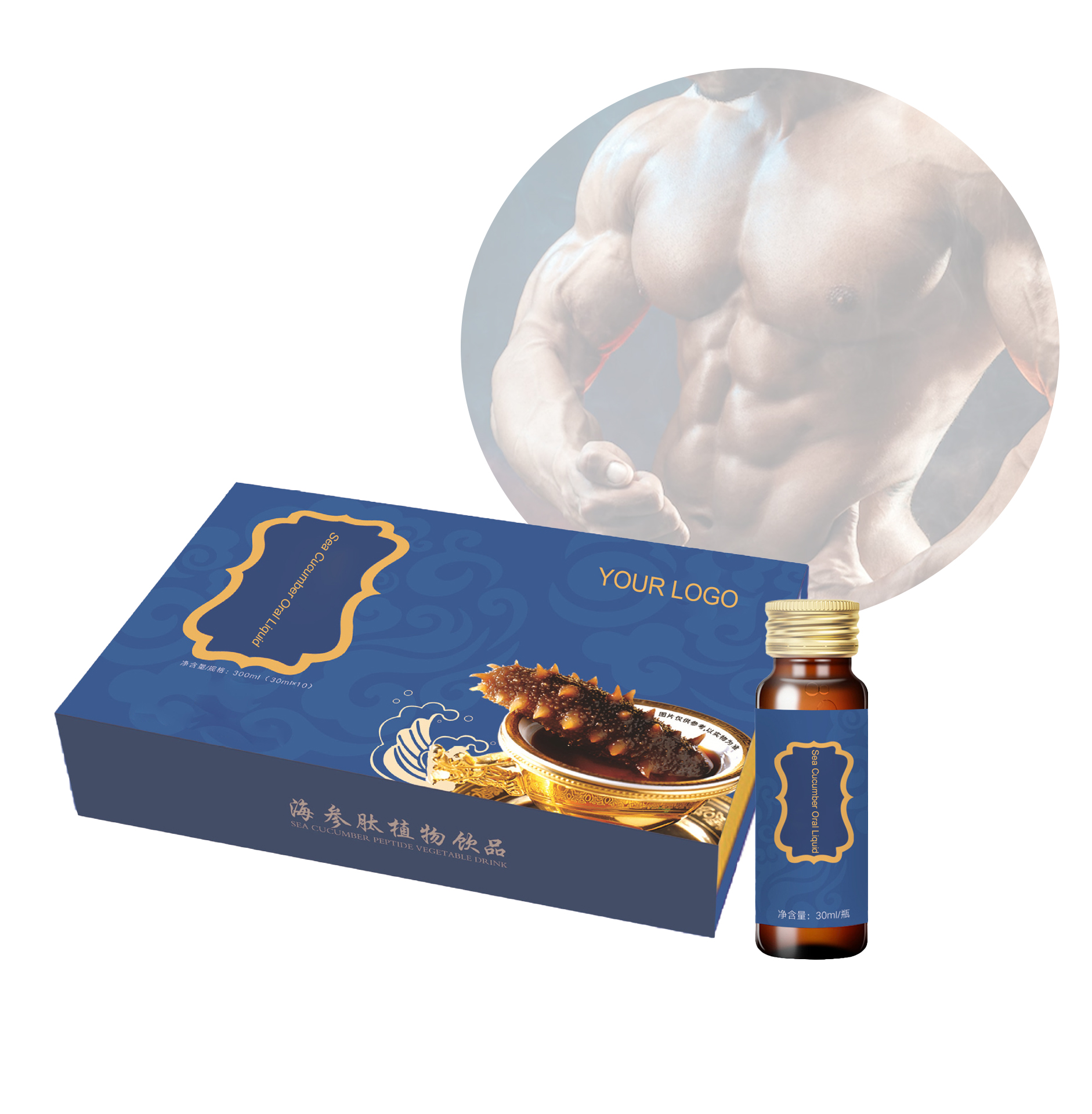 OEM/ODM Vegan Natural Herbal Man Energy Enhance Sea Cucumber Oyster Men Sea Cucumber Oral Liquid