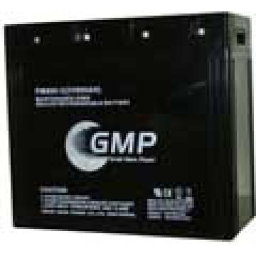 VRLA Battery (PM800-2)