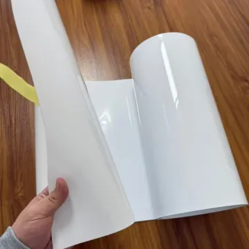 PP Plastic Rolls for Thermal Forming Food Tray