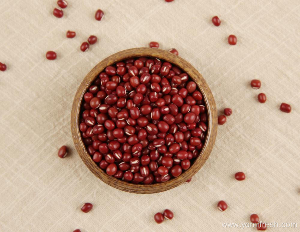 Healthy Beans With Fiber