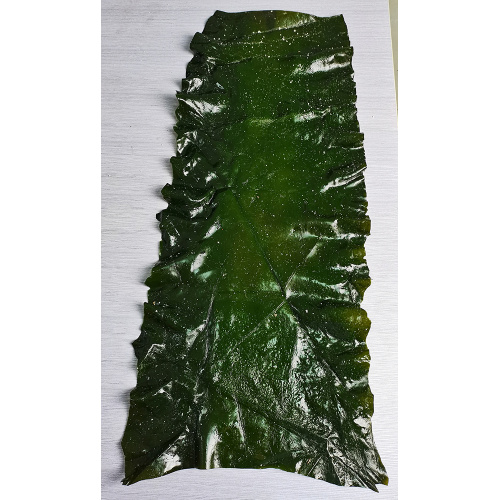 Kelp Vegetable Seaweed First Cut Board