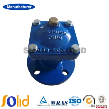 Ductile Iron Flange Air Release Valve