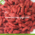 Χονδρική Εισαγωγή Φύση Eu Standard Goji Berry