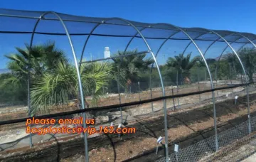 Pe Film For Greenhouses, Construction Film, PP Leno Bags, Anti Insect Net 25 Mesh, Anti Bird Net