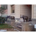 Outdoor Playground large animal sculptures 