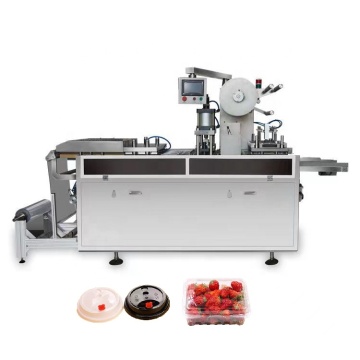 Otomatik Tek Kullanımlık Pet PS Kupası Kapağı Termoform Makinesi