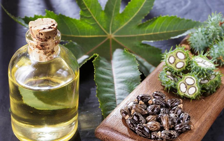 castor carrier oil for skin care