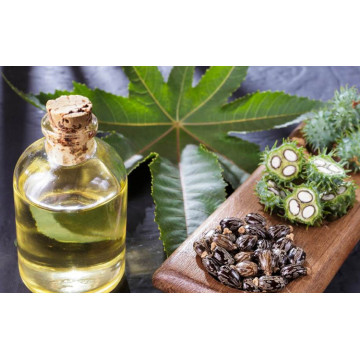 castor carrier oil for skin care