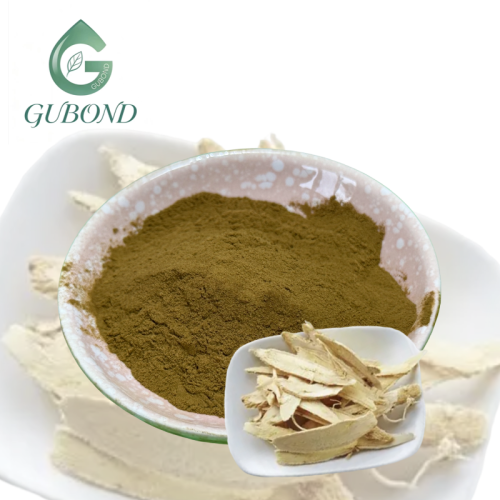 Polvo de astragalósido IV para ingredientes de suplementos dietéticos