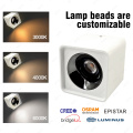 Quadratische Doppelköpfe Downlight LED Decke Down Lampen