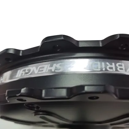 36V 350W Shengyi Electric Bike Front Drive Geared Motor: Specifications and Features