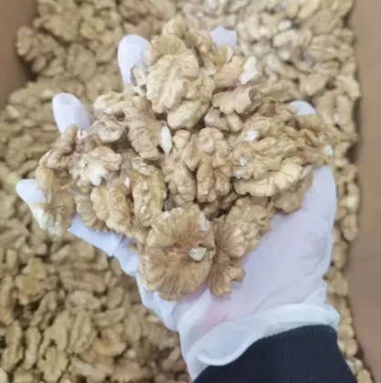 Healthy snack walnut kernels