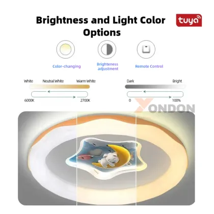 Smart Children's Ceiling Light: Voice-Controlled LED Dimmable Night Light - Tuya/Casambi/Matter Compatible