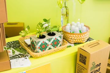 Recycled Fiber Display Tray - Set of 2
