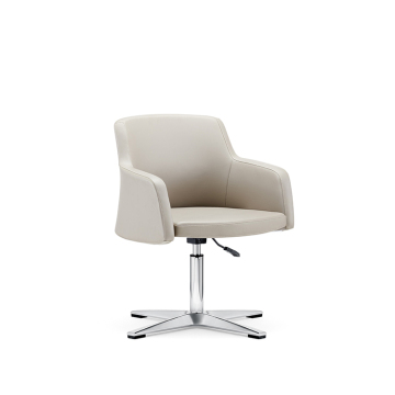 Modern High-End Revolving Lounge Office Chair for Leisure Living Room