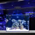 Smart LED Aquarium Reef LED LIDS για SPS