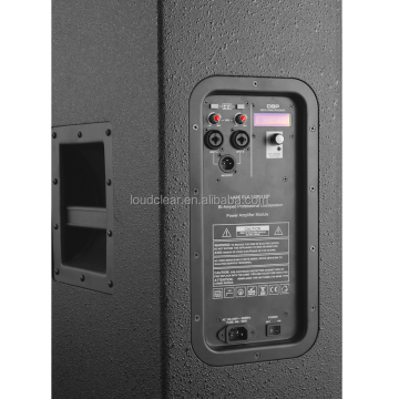 Loa gỗ lớn 15 inch trong suốt với DSP