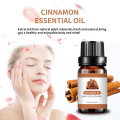Buy Premium Quality Cinnamon Bark Essential Oil