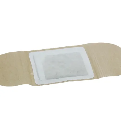Traditional Chinese Medicine Patch