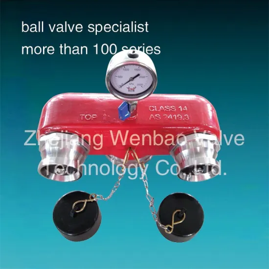 Water manifold Valve SS304 Booster Valve Bottom entry with BI assembly