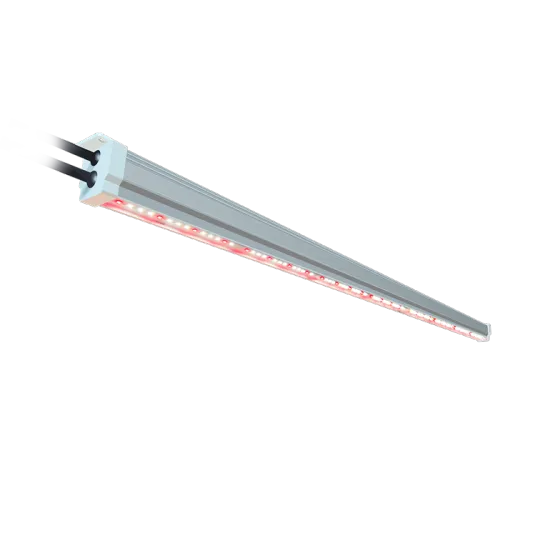 Greenhouse Farm Indoor Plant LED Tube Grow Light (Red, Blue, White) for Strawberries