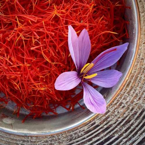 Bulk 0.3% Safranal saffron extract saffron extract powder
