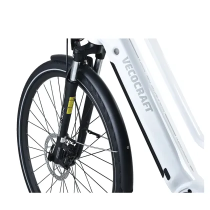 XY-Aura road best urban electric bike shop