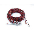 Complete wiring harness for power exchange cabinet