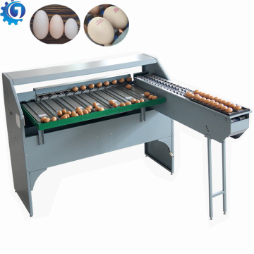 Máquina automática de pesaje y clasificación para clasificación de huevos