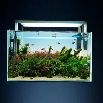 China Factory Direct High Bright Fish Tank Backlight Aquarium LED Lighting 900*450mm