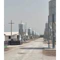 Poultry silo feeding system