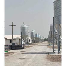 Silo de aves de aves (lençol galvanizado) Silo de alimentação de aves