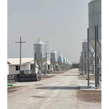 Poultry silo(galvanized sheet)Poultry feed silo