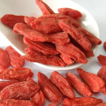 Dark Red Goji Berry/high standard oval goji berry