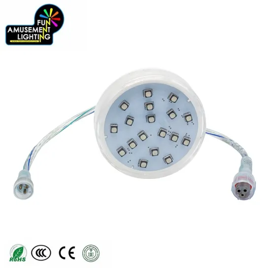 60mm Programming LED Lights - 16Pcs DC24V Pixel Light for Playgrounds
