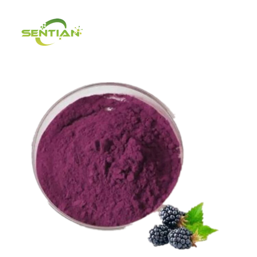 Mulberry Powder Coating for Natural Skin Benefits