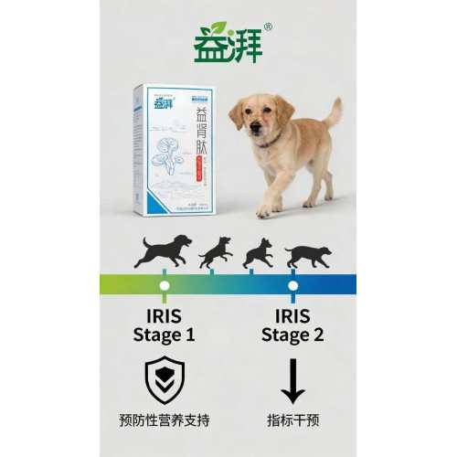 Apoyo nutricional temprano para la ERC para perros y gatos