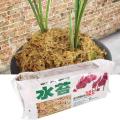 12L Sphagnum Moss Moss Sphagnum Nutrition Organic Fertilizer For Orchid Phalaenopsis Musgo Sphagnum Flower Garden Supplies