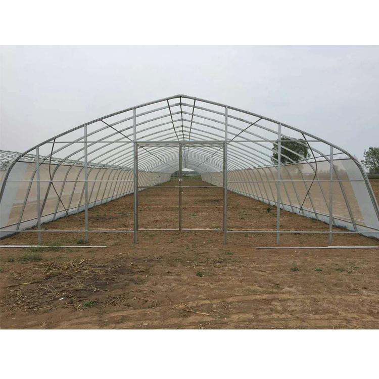 Galvanized Steel Frame Plastic Film Tunnel Greenhouse