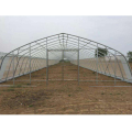 Tunnel Green House Vegetable Tunnel Greenhouse pour tomate