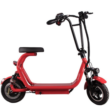 Lithium Battery 350W for Citycoco Electric Scooter