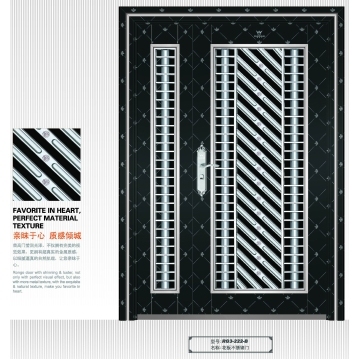 Hot Sale Stainless Steel Swing Security Door RG3-222-B