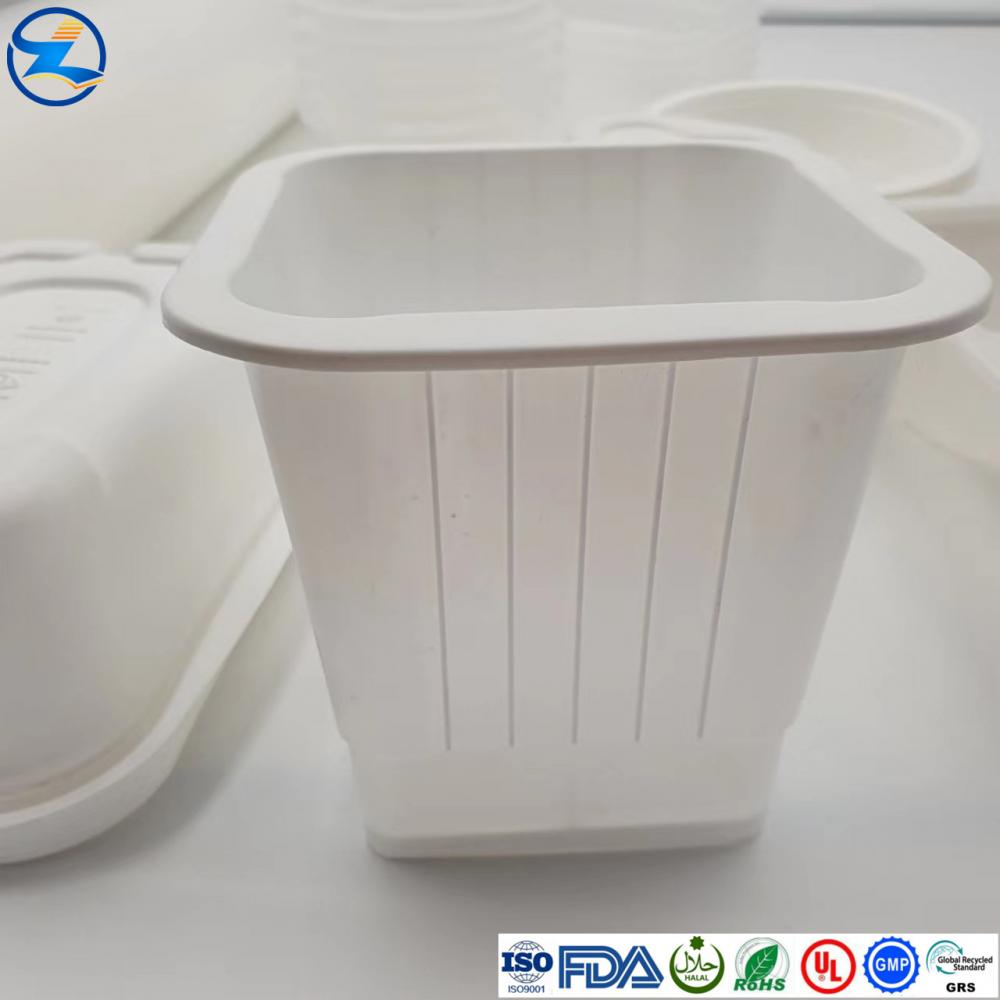 Pp Food Container20 Jpg