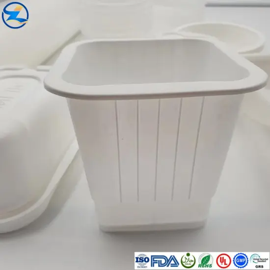 High quality White PP food container