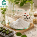 Regulador del crecimiento vegetal en polvo IBA de alta pureza