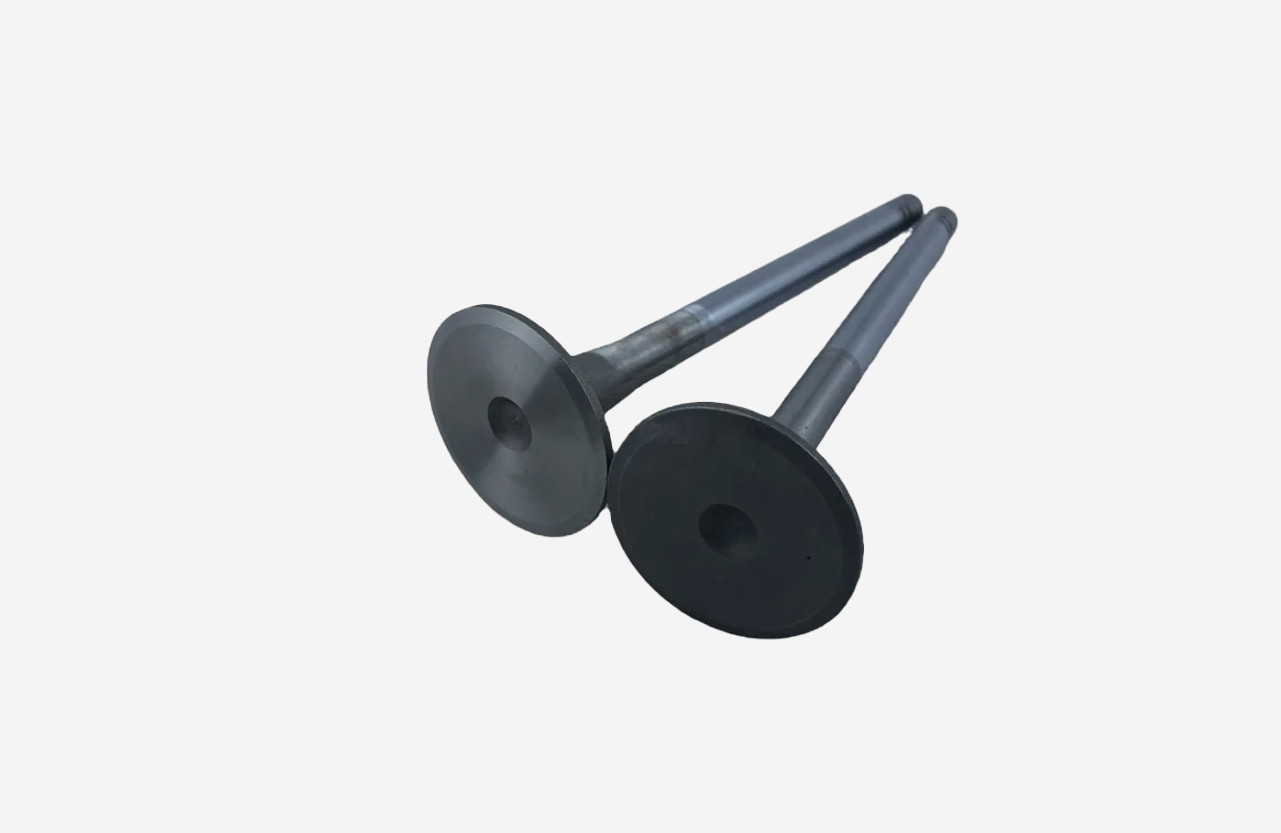 Intake Valve 1886246 for Engine