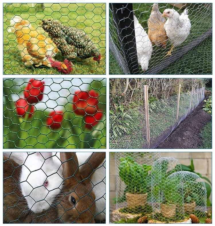 hexagonal wire netting application